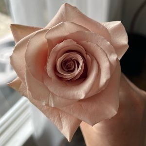 Meet your Posher, Cathlina